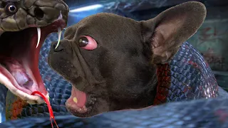 Anaconda: Live bait - Bulldog reaction is amazing 🙀 horror movie