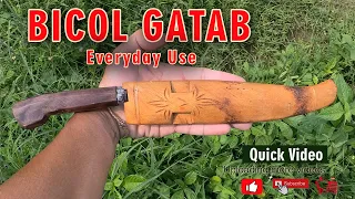 Bicol Gatab