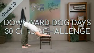 Chair Yoga - Dog Days Class 30 - 34 Minutes Some Seated, More Standing