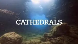 Cathedrals Dive Guide: North Shore Oahu