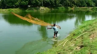 Best Net Fishing।Big fish hunting by cast net। Net Fishing in the Village (part -31)