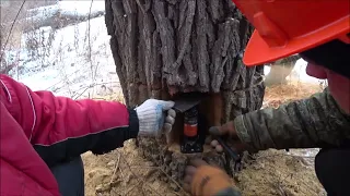 Валка дерева при помощи домкрата