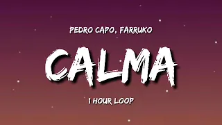 Pedro Capo, Farruko - Calma (1 Hour Loop) [TIKTOK Ssong]