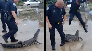 Police vs Beasts