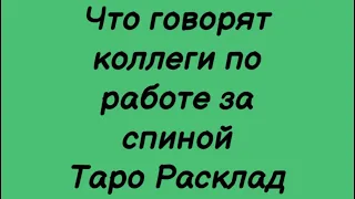 Что обо мне говорят коллеги на работе . Обсуждают ли меня на работе . Таро Расклад