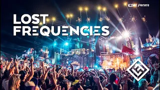 Lost Frequencies [Drops Only] @ Tomorrowland 2019 Mainstage