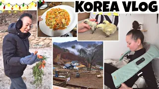 Новинки на моей корейской даче / Муж приехал / KOREA VLOG