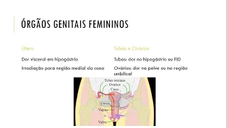 Abordagem ao paciente com dor abdominal