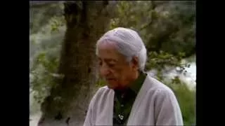 What is right action when understanding isn’t total? | J. Krishnamurti