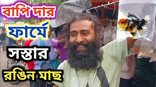 পশ্চিমবঙ্গে সস্তায় রঙিন মাছের ঠিকানা এখন হাওড়া জেলায় howrah cheapest colour fish farm