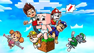 ¡ATRAPADO en un BLOQUE con PAW PATROL! 😱🔵 BEBÉ NOOB pero es UN BLOQUE en MINECRAFT