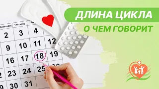 📅 О чем говорит длина цикла?