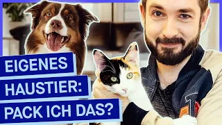 Tierheime voll! Wie kann ich Hund oder Katze verantwortungsvoll halten?