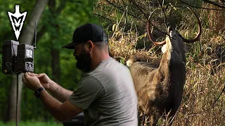 Off Season Trail Camera Strategy, Setting Stands With A Purpose  | Midwest Whitetail