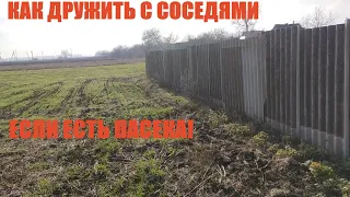 Пасека и соседи🤝🐝☝️