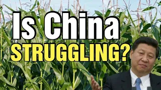 China Loses Over 35 Billion Kilograms of Grain Due to Poor Storage