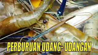 PERBURUAN UDANG- UDANGAN | JEJAK PETUALANG (12/09/21)