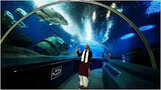 Villagers Had Never Seen an Aquarium Before - Their Incredible Reactions Will Shock You! Tribal