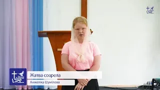 Жатва созрела - Анжеліка Шумілова