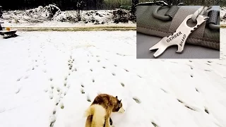 Winter Walk with Leo!! - Gerber Shard Keychain Tool! | TheSmoaks Vlog_390