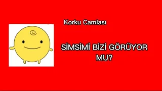 SİMSİMİ BİZİ GÖRÜYOR MU?! KORKU CAMİASI (İLK VİDEO)