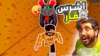 روبلوكس | تخيل ان الفاره 🐭 تشوفك جبنه 🧀 | مواجهة أشرس فاره 😂 !!