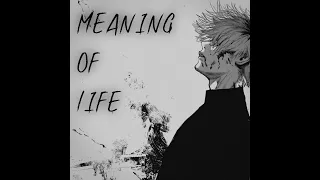 Meaning Of Life