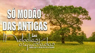 MODÃO DAS ANTIGAS - AS MELHORES | SERTANEJO RAIZ | MODA DE VIOLA