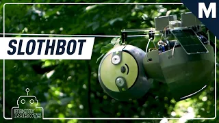 Georgia Tech Built A ‘SlothBot’ That Can Slowly Climb Trees | Strictly Robots