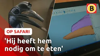 NIEUWE SNAVEL dankzij 3D-printer?! 🐦 | Op Safari