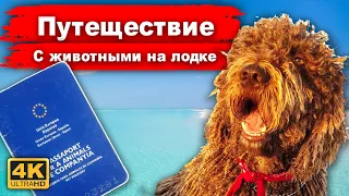 Как путешествовать на яхте с животными? Правила и реальный опыт. Интервью с владельцами животных.