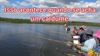 Pescaria no Rio Paraná Essa é a série  vai vim gente de todo Brasil Peixe pra todo mundo