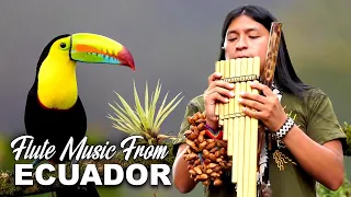 💙 FLUTE MUSIC MIX ★ From ECUADOR 🇪🇨 ||► 60 min