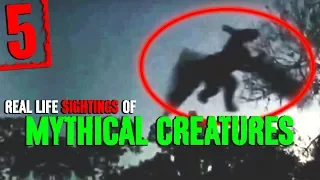 5 REAL Mythical Creature Sightings! - Darkness Prevails