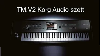 TM.V2-Korg Audio szett 2022
