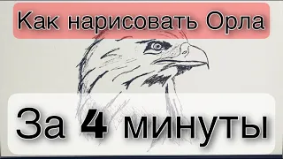 Как нарисовать Орла за 4 минуты