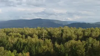 Бродит август по лесам... Музыка А. Лепёхин, сл. В. Мухин. Виталий Осипов, Полина Осипова.