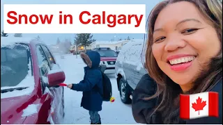SNOW IN CALGARY ALBERTA CANADA | FINALLY OUR WINTER IS HERE 😆|sarah buyucan