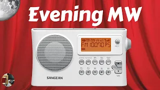 Sangean PR-D14 AM FM MP3 Radio Evening MW