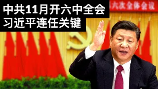 中共11月开六中全会习近平连任关键(字幕)/19th CCP Central Committee to Hold 6th Plenary Session in Nov/王剑每日观察/20210831