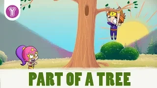 Discover what makes up a tree - Smartkids