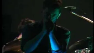 New Order: Temptation @ NYC 1981