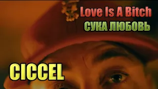 CICCEL - "Love Is A Bitch"  (Михей и Джуманджи - Сука-любовь кавер)