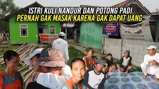 MANG ENAR PERNAH GAK MASAK KARENA NARIK BECAK GAK DAPAT UANG-PADI GAGAL PANEN KENA HAMA TIKUS