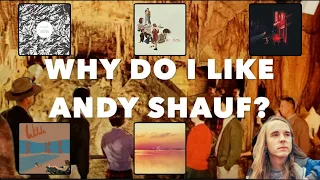 Why Do I Like Andy Shauf?