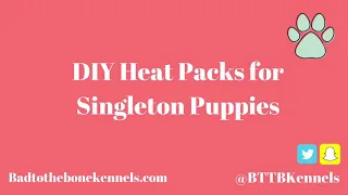 Singleton Puppy Heat Packs | DIY | Bad to the Bone Kennels | XL American Bullies