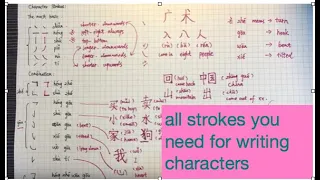 All Character Strokes You Need to Writing Chinese Character Explained with Me