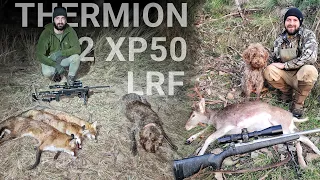 Foxes & Fallow Deer - Thermion 2 XP50 LRF - 7MM REM MAG - Kahles 624i - Howa Mini Action 223 MDT