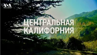 Центральная КАЛИФОРНИЯ: от виноделов до морских слонов