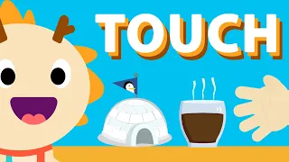 TOUCH ♫ | Five Senses Song | Wormhole Learning - Songs For Kids